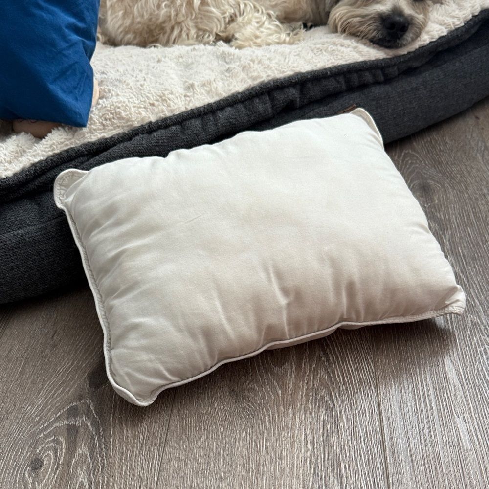 Dog Luxurious Pillow